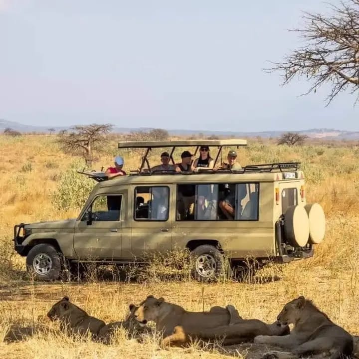 Tanzania Safari